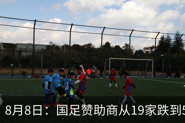8月8日：国足赞助商从19家跌到5家，董路足球小将球衣却挤下8个Logo？
